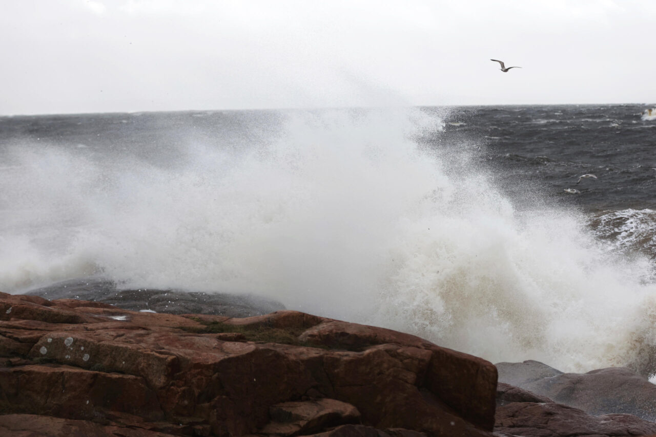 Vågor på havet slungar tillbaka miljögifter