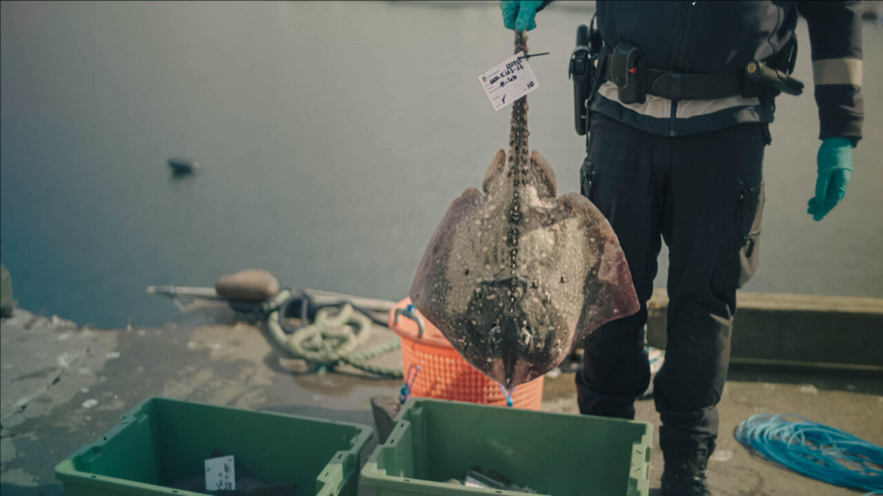 Legal aftermath in Lysekil