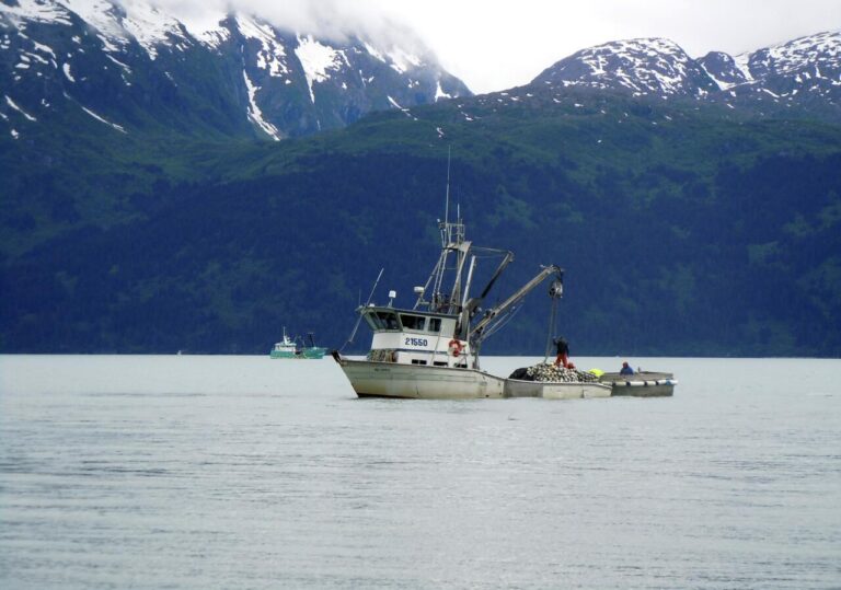 Resrutt Alaska Kajakpaddling