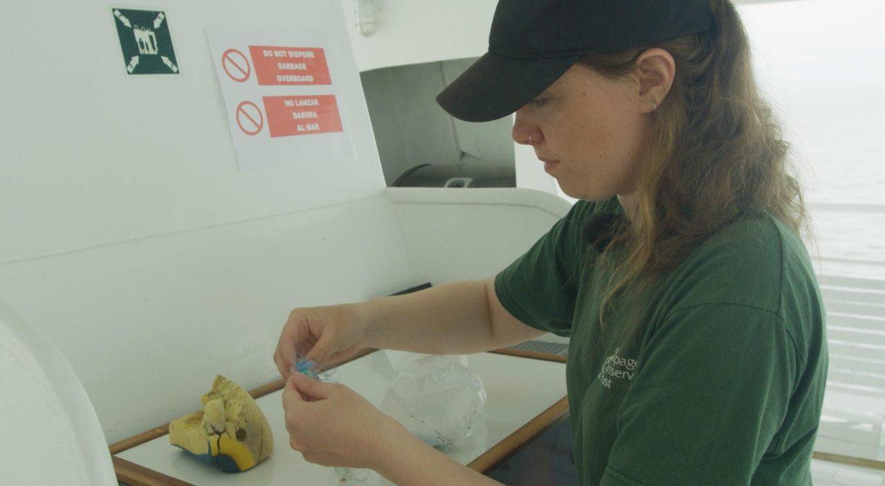 Microplastics pollute even the most protected areas of our ocean