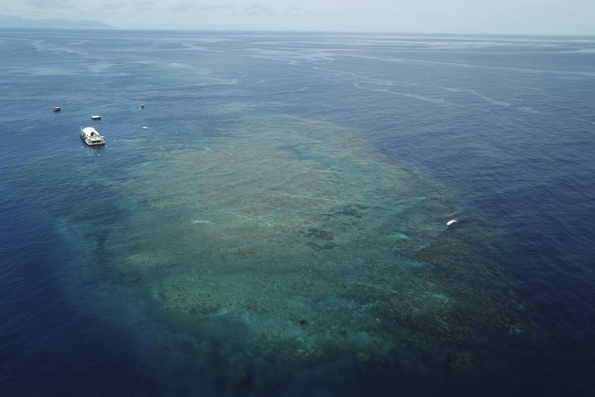Alarming Coral Bleaching in the Great Barrier Reef - Deep Sea Reporter