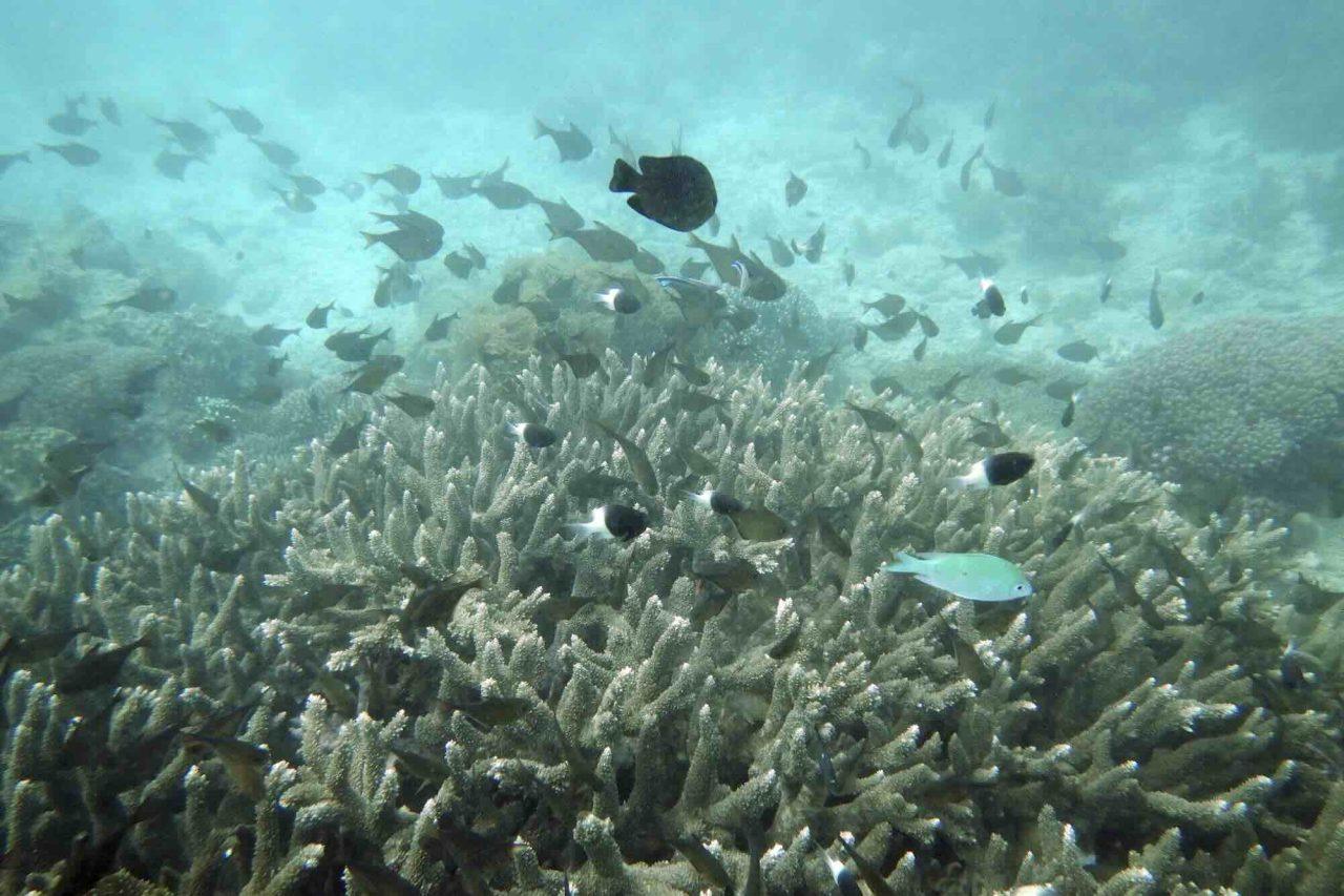 New Critical Threshold for the Planet Exceeded