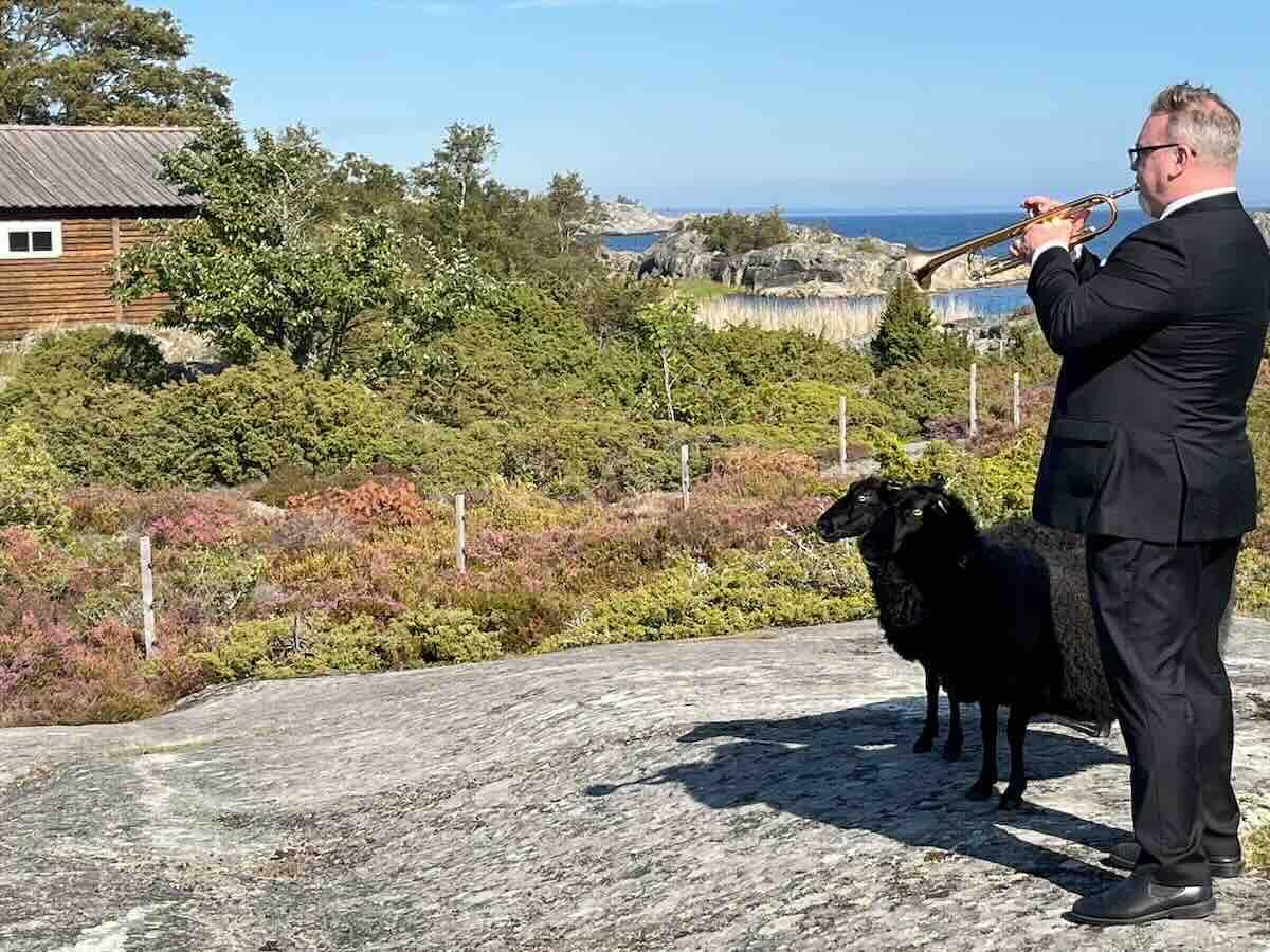 Solen, Trumpetaren och två svarta får
