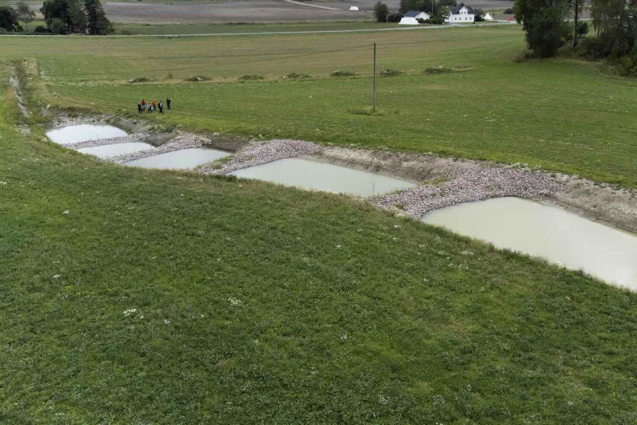 Weapons in the Fight Against Dead Seas – Wetlands in the Fields