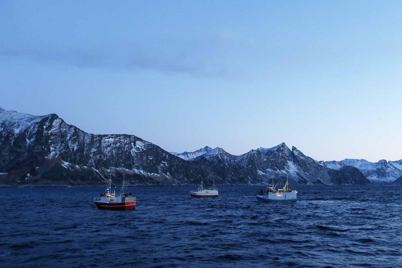 Fiskeavtal klart – lägre kvoter för torsken