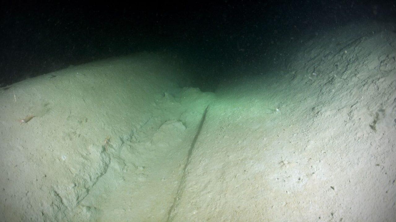 Unika bilder avslöjar söndertrålade bottnar i Gullmarsfjordens skyddsområde