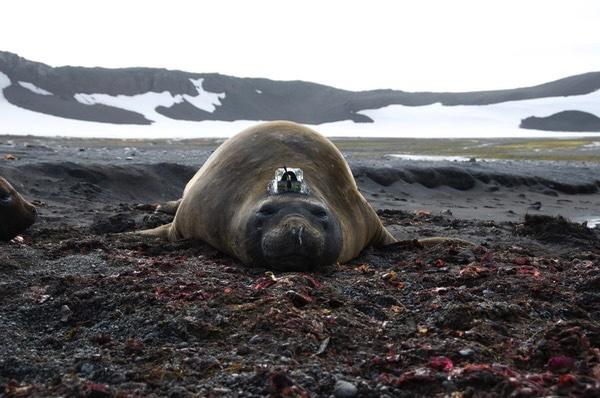 A Stormy Winter Caused Antarctic Sea Ice to Melt