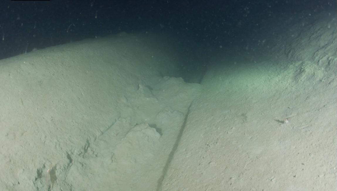 Continued Bottom Trawling in Sweden’s Marine Protected Areas