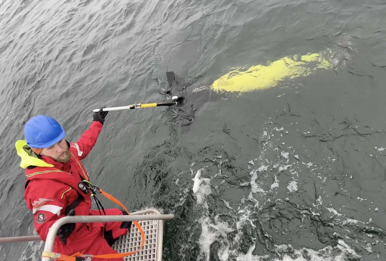 Syrefattiga bottnar i Östersjön får vänta