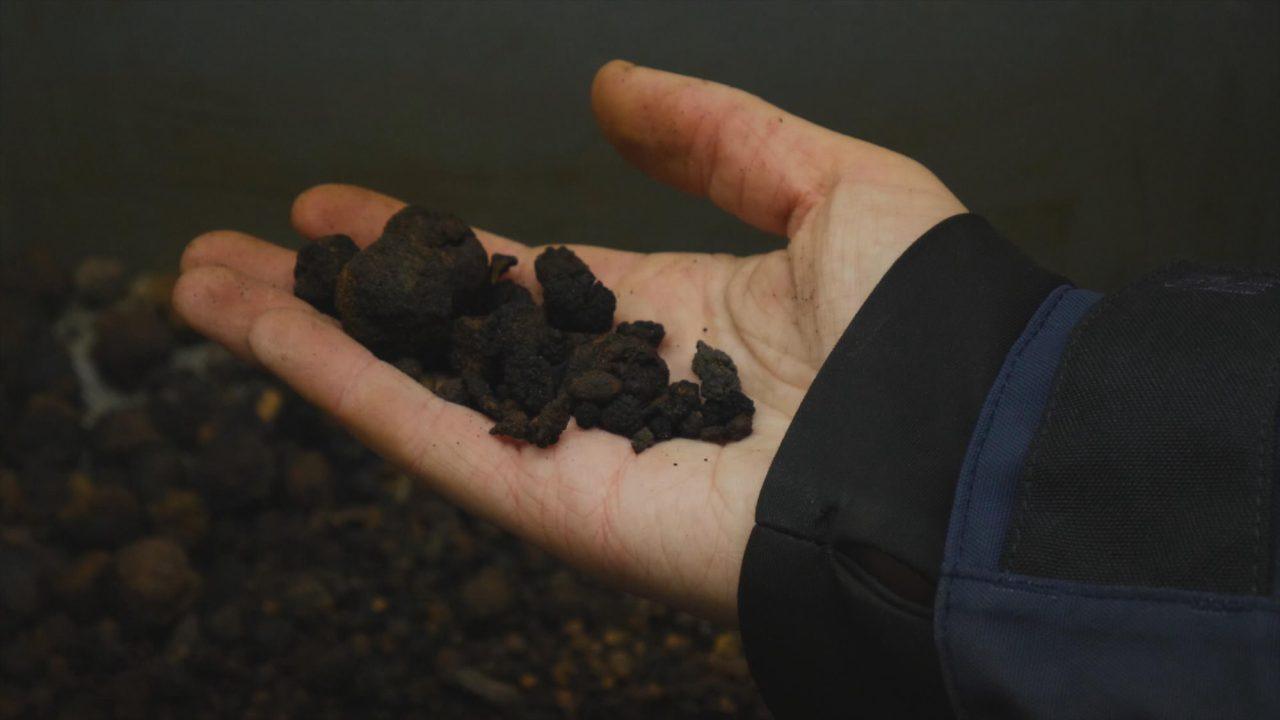 Large-Scale Deep-Sea Mining is not for the European Investment Bank