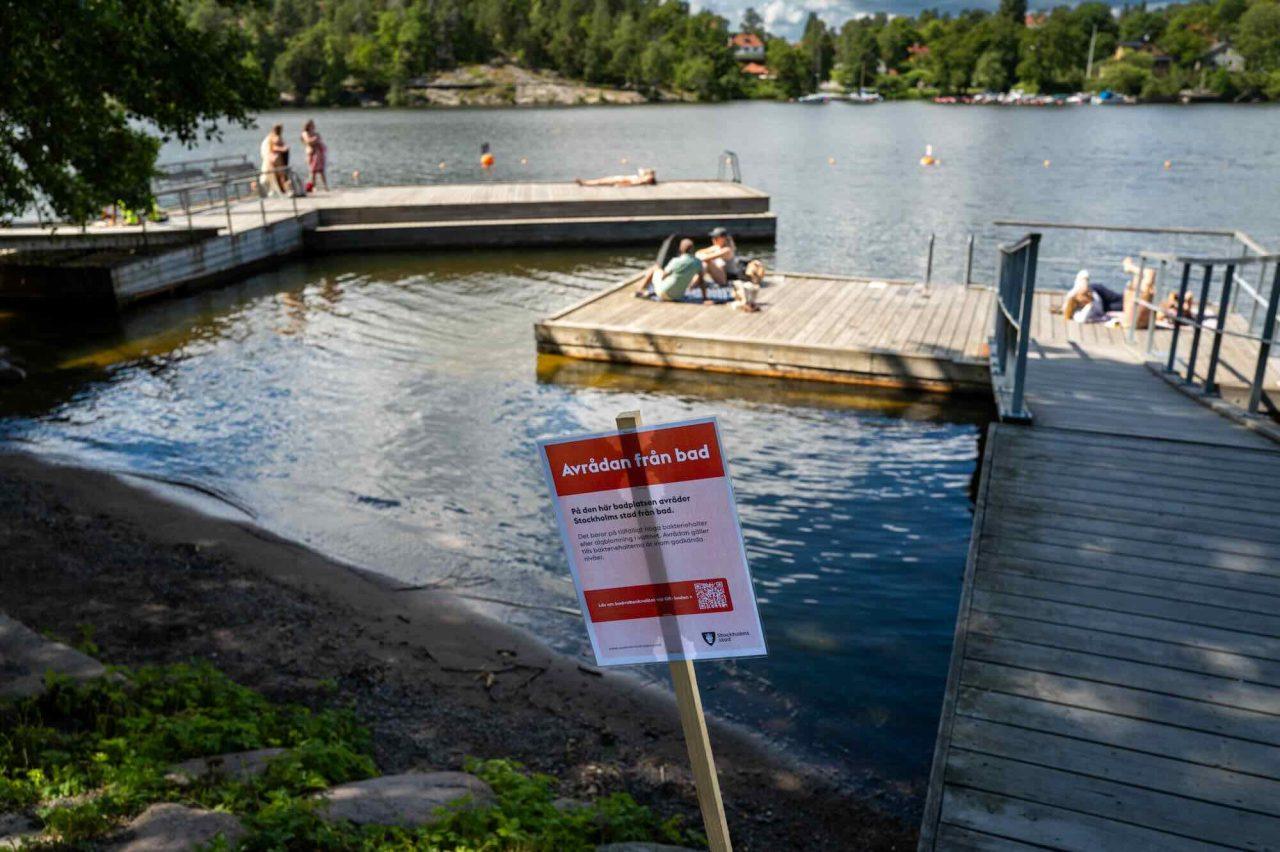 Giftiga alger är här – kan orsaka feber