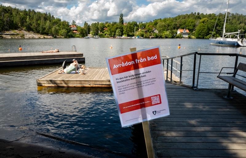 Algblomningen stoppar badare – här är det värst