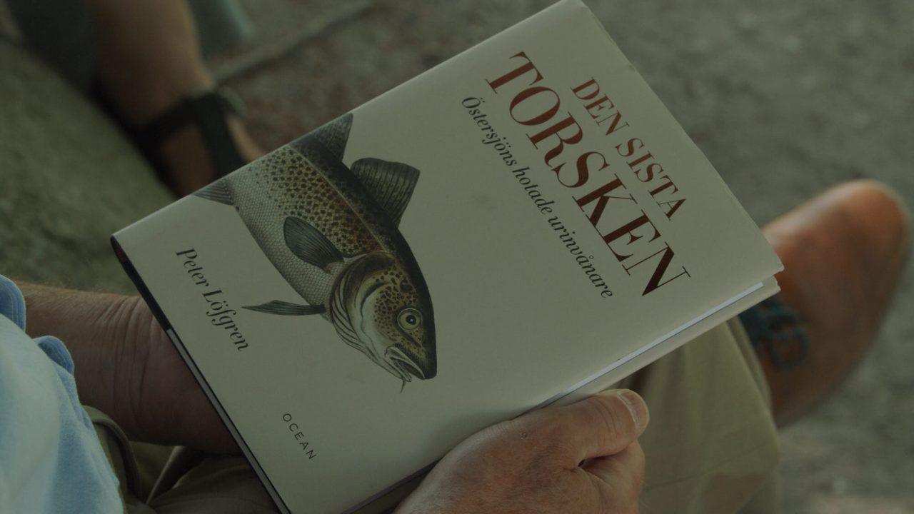  The last Baltic cod – The quest for the survival of the inland sea’s native species