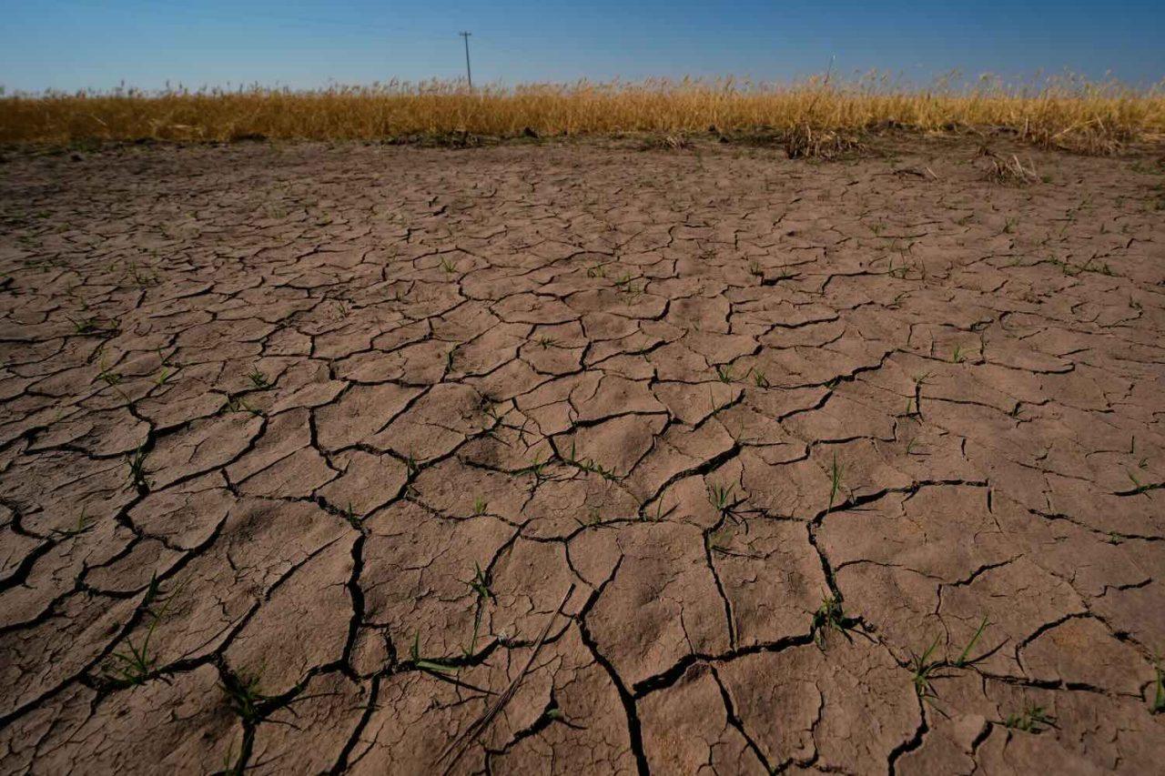 New study: El Niño is being intensified by climate change