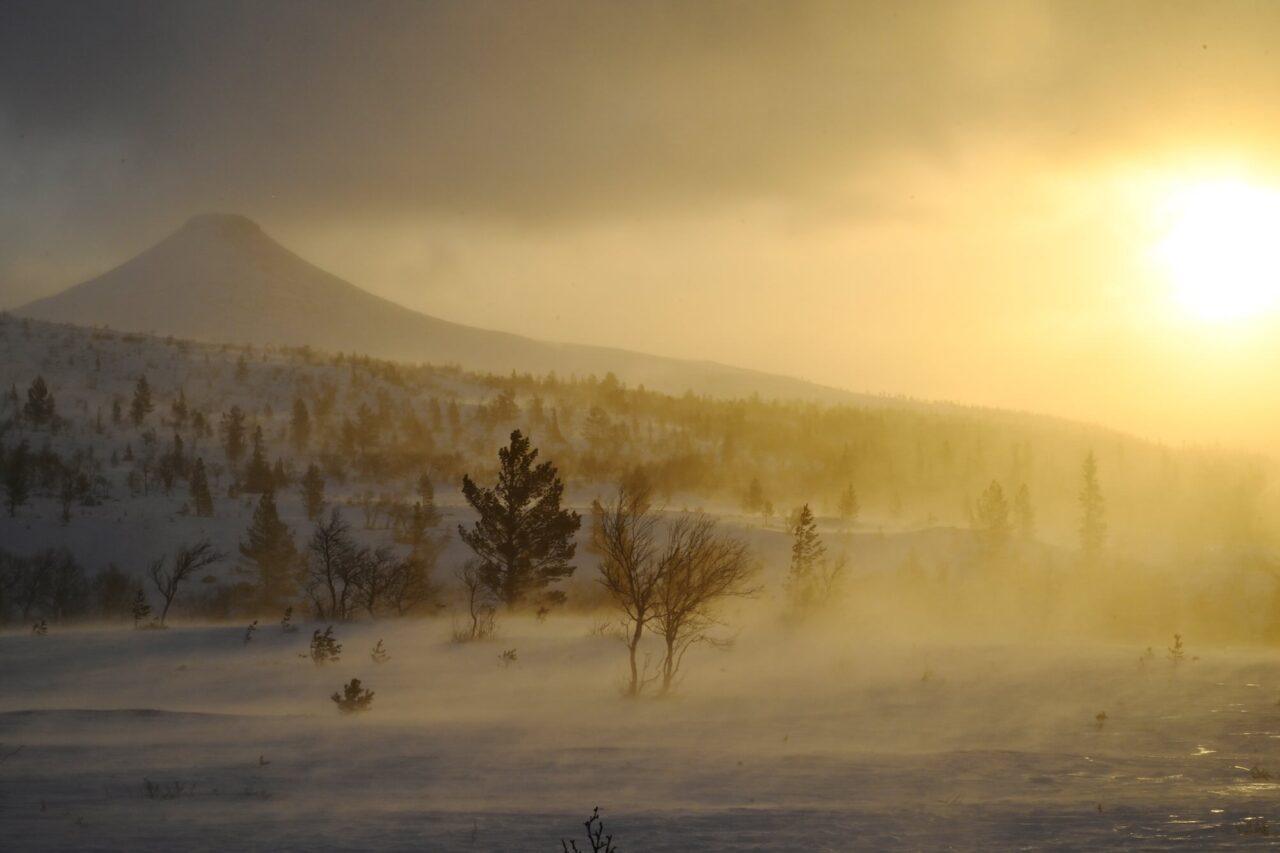 Sweden’s environmental performance – one of 16 targets achieved
