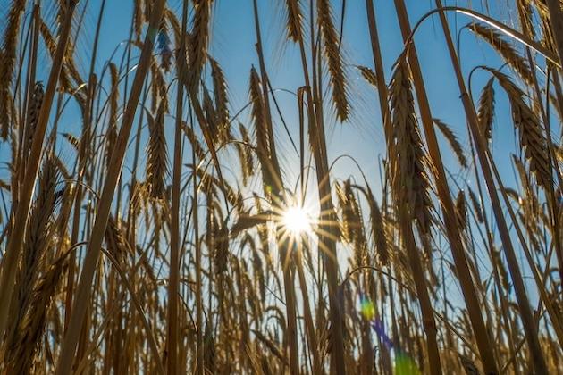 Ytvattentemperaturen utanför polerna den varmaste som uppmätts för september