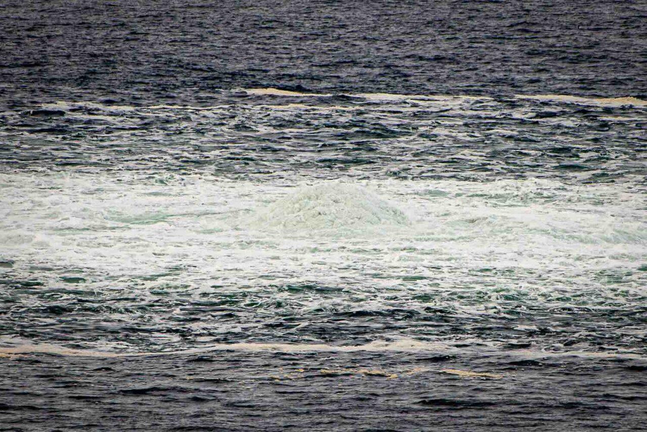 Gas pipelines blown up – trial now underway
