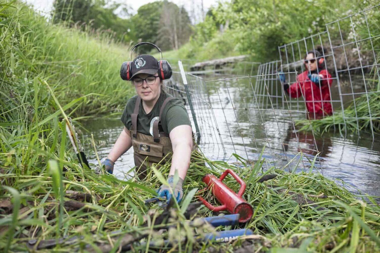 Vast areas of damaged natural environment set to be saved