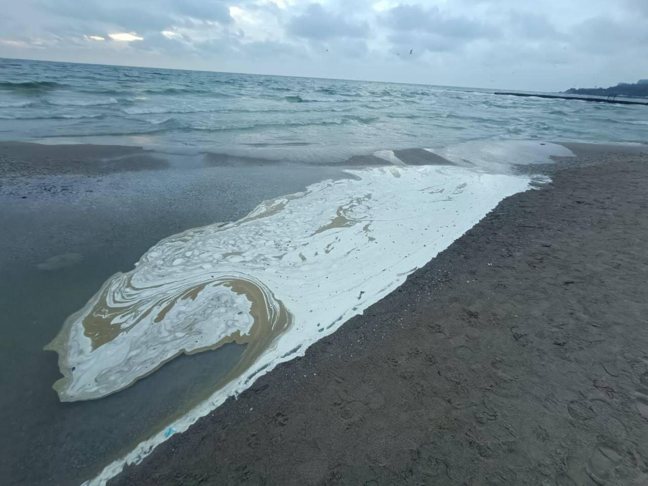 Utsläpp av solrosolja flyter i land på en sandstrand.