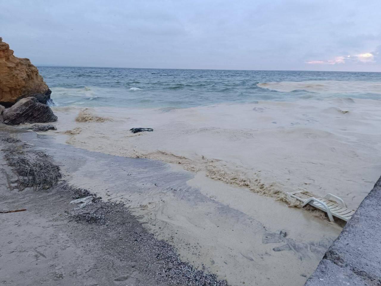 Utsläpp av solrosolja sköljer in på en strand.